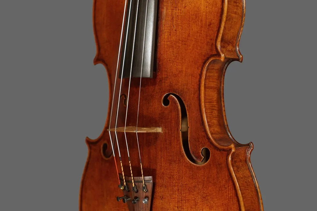viola