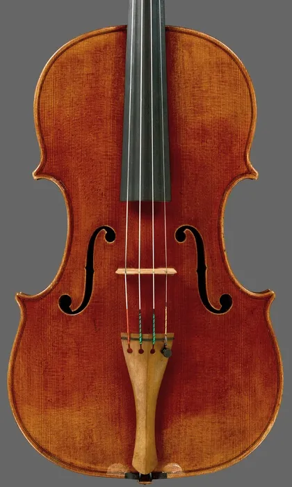viola