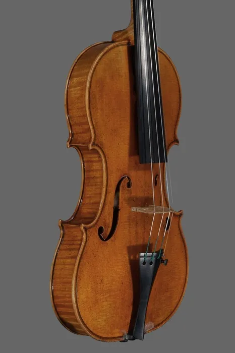 violin