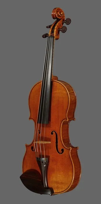violin