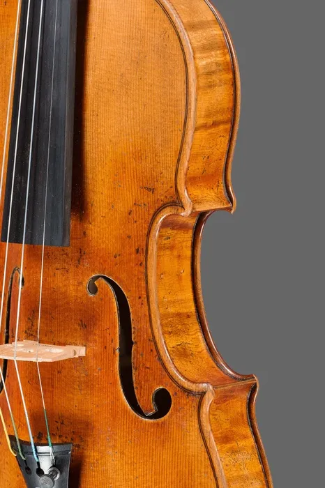 violin