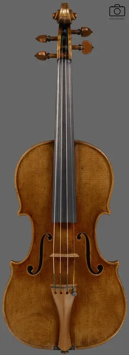 violin